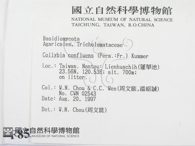 登錄號:F0008538藏品圖，第2張