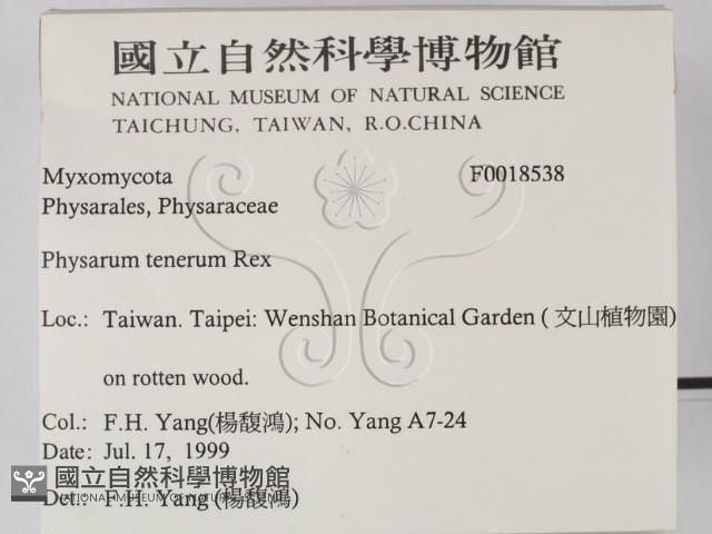 登錄號:F0018538藏品圖，第2張