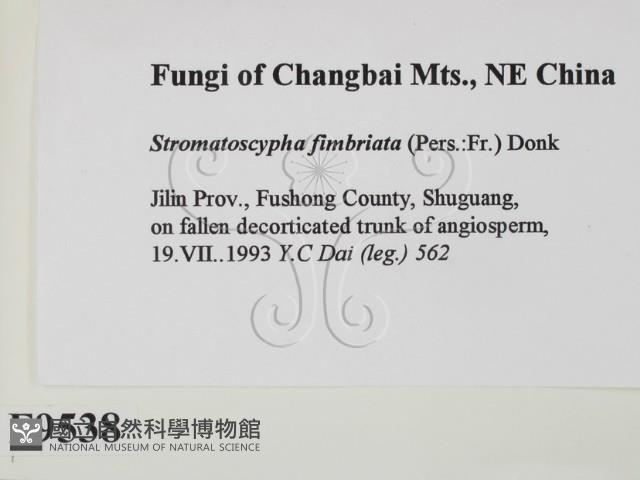 登錄號:F0009538藏品圖，第2張