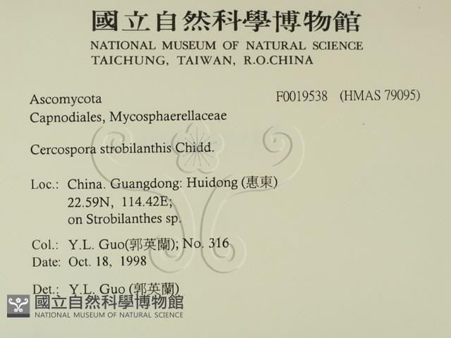 登錄號:F0019538藏品圖，第2張