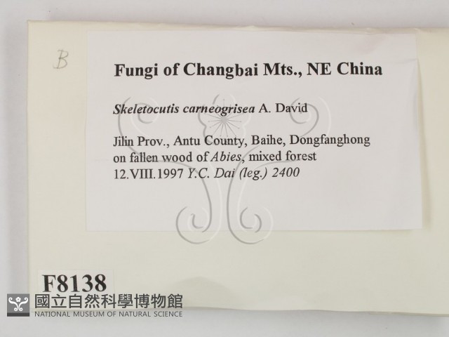 登錄號:F0008138藏品圖，第2張