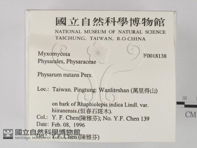 登錄號:F0018138藏品圖，第2張
