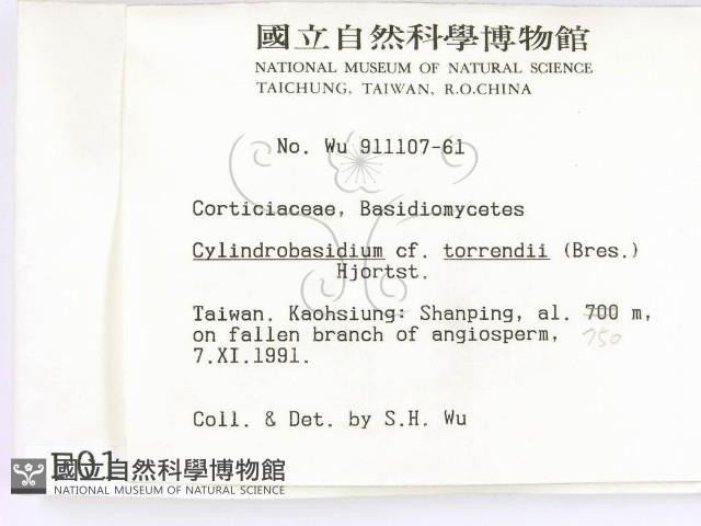 登錄號:F0000138藏品圖，第2張