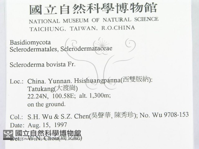 登錄號:F0010138藏品圖，第2張