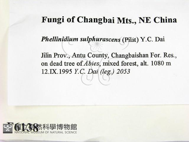 登錄號:F0006138藏品圖，第2張