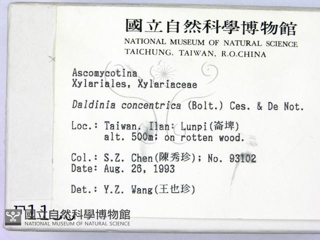 登錄號:F0001138藏品圖，第2張