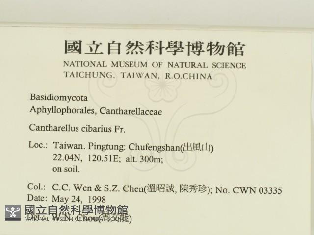 登錄號:F0011138藏品圖，第2張