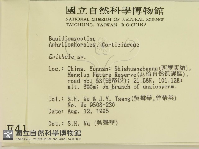 登錄號:F0004138藏品圖，第2張