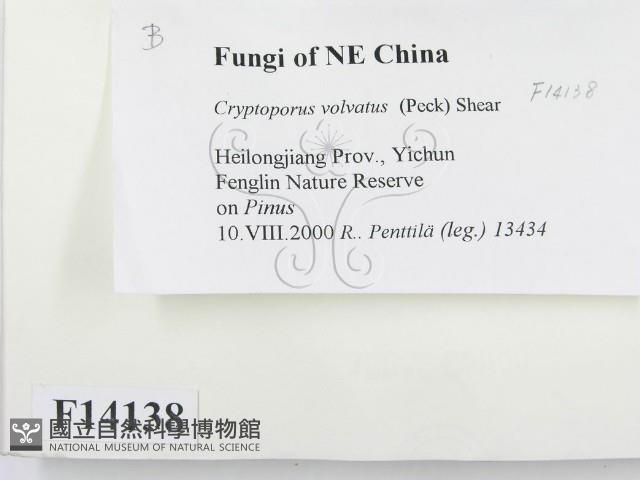 登錄號:F0014138藏品圖，第2張