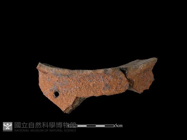 陶罐藏品圖，第2張