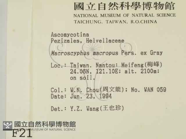 登錄號:F0002138藏品圖，第2張