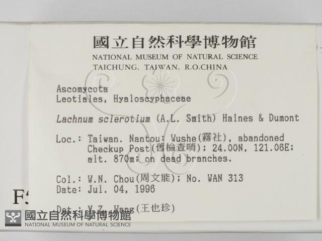 登錄號:F0005138藏品圖，第2張