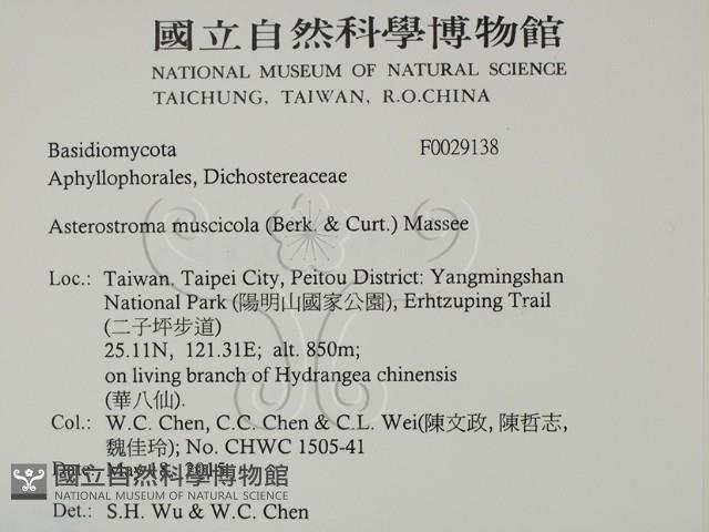 登錄號:F0029138藏品圖，第2張