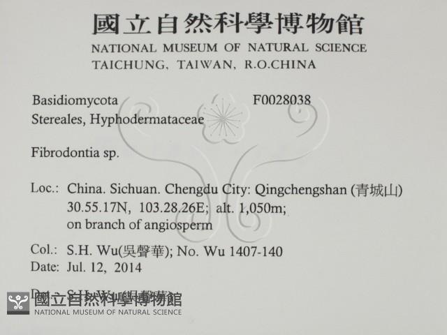 登錄號:F0028038藏品圖，第2張
