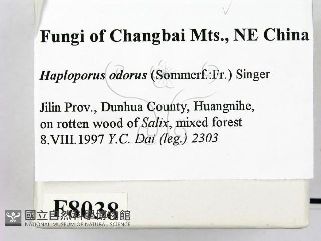 登錄號:F0008038藏品圖，第2張