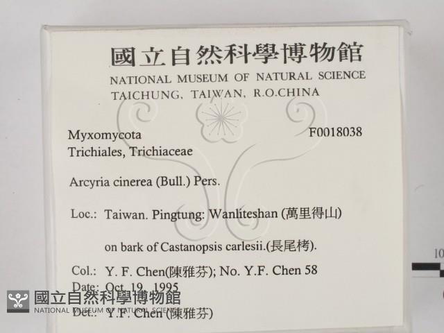 登錄號:F0018038藏品圖，第2張