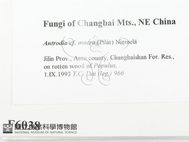 登錄號:F0006038藏品圖，第2張