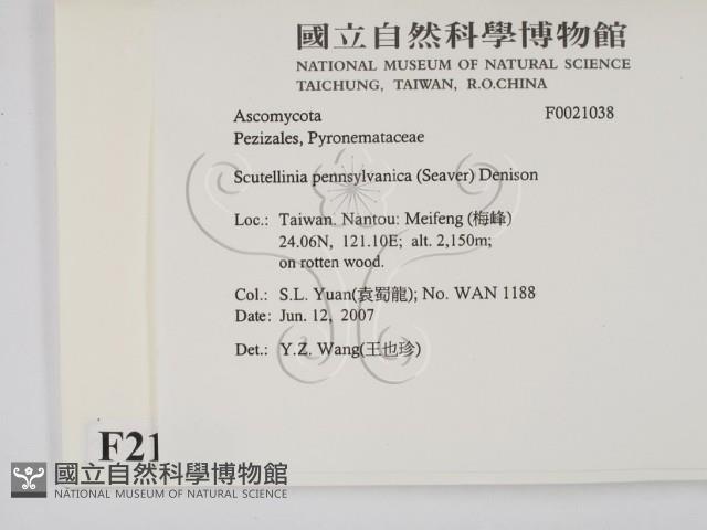 登錄號:F0021038藏品圖，第2張