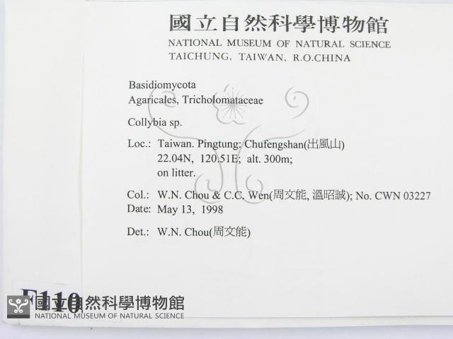 登錄號:F0011038藏品圖，第2張