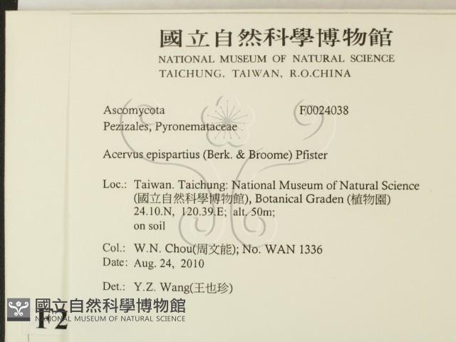 登錄號:F0024038藏品圖，第2張