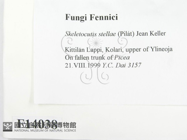 登錄號:F0014038藏品圖，第2張