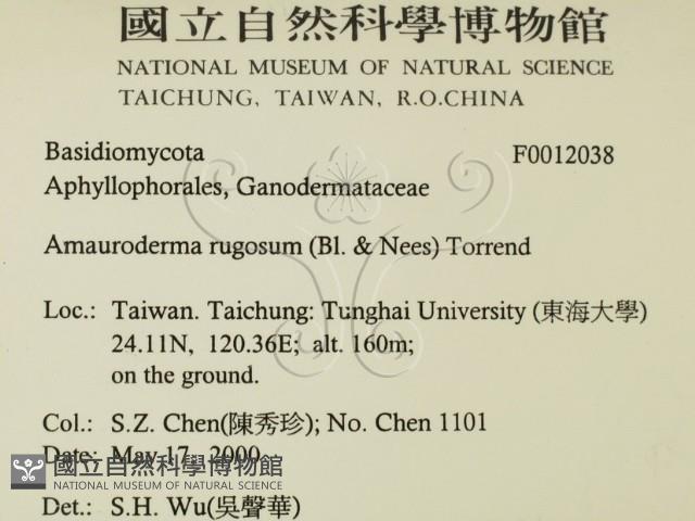 登錄號:F0012038藏品圖，第2張