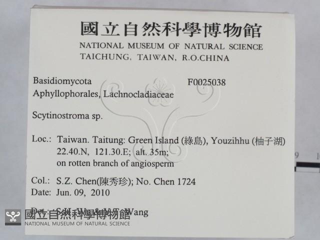 登錄號:F0025038藏品圖，第2張