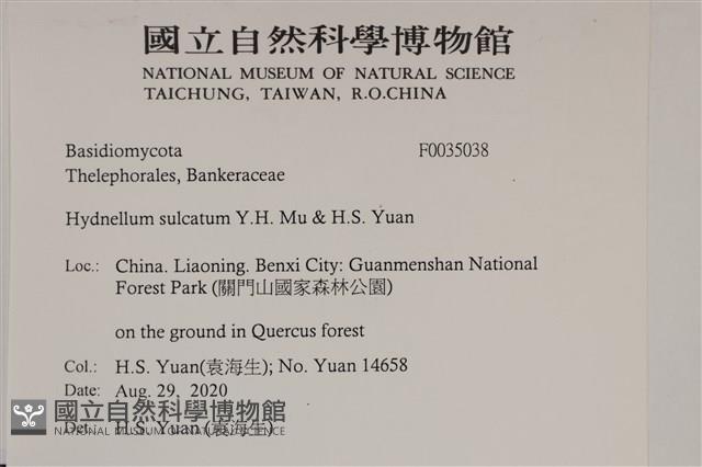 登錄號:F0035038藏品圖，第2張