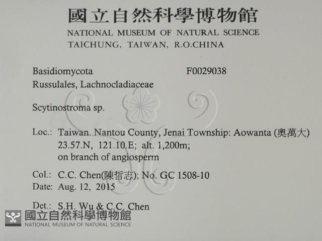 登錄號:F0029038藏品圖，第2張
