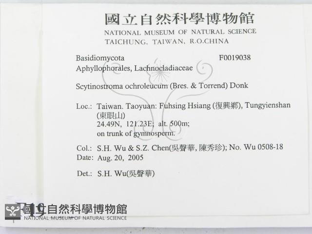 登錄號:F0019038藏品圖，第2張