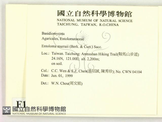 登錄號:F0013038藏品圖，第2張