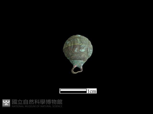 鈕子藏品圖，第2張