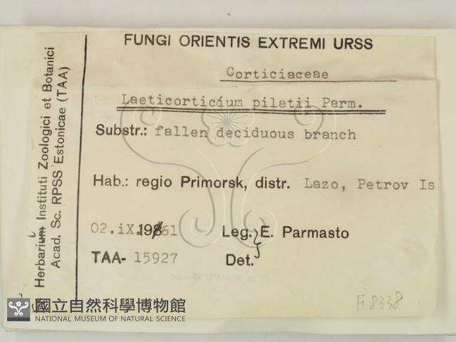 登錄號:F0008338藏品圖，第2張