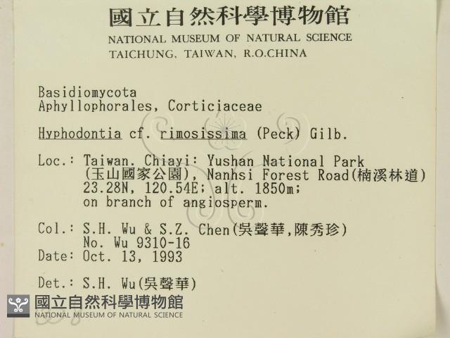 登錄號:F0001338藏品圖，第2張