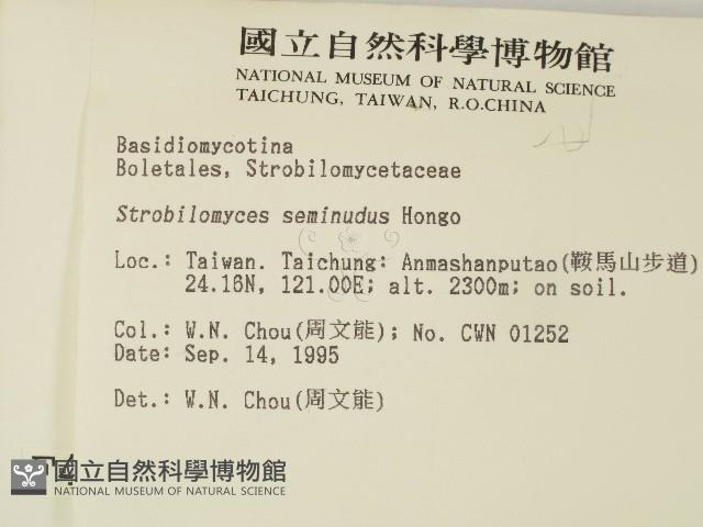 登錄號:F0004338藏品圖，第2張