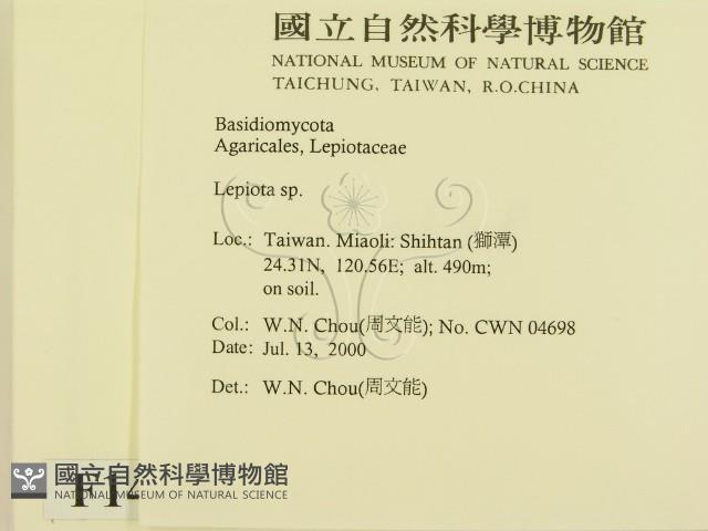 登錄號:F0014338藏品圖，第2張