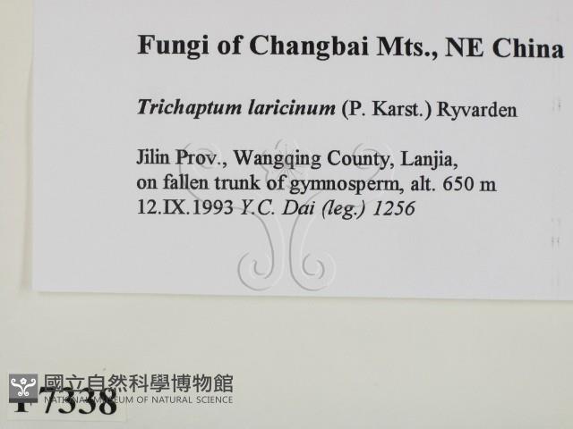 登錄號:F0007338藏品圖，第2張