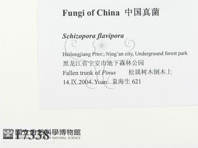 登錄號:F0017338藏品圖，第2張