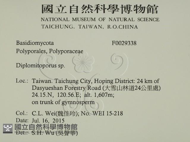 登錄號:F0029338藏品圖，第2張