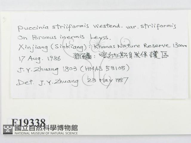 登錄號:F0019338藏品圖，第2張
