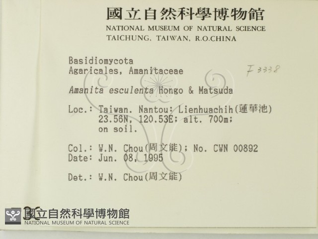 登錄號:F0003338藏品圖，第2張