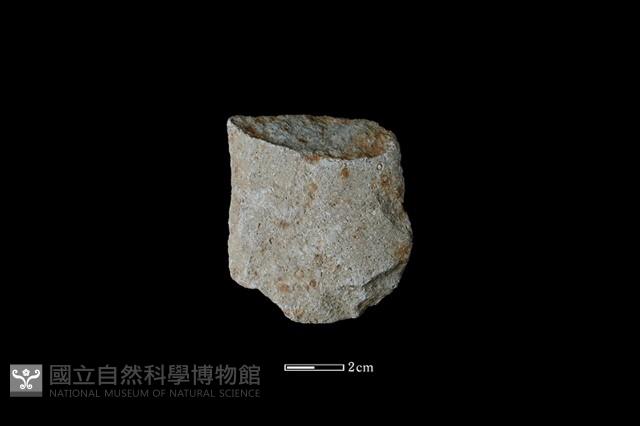 磨製斧鋤形器藏品圖，第1張