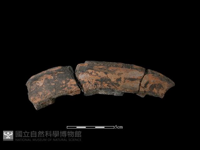 陶罐藏品圖，第1張