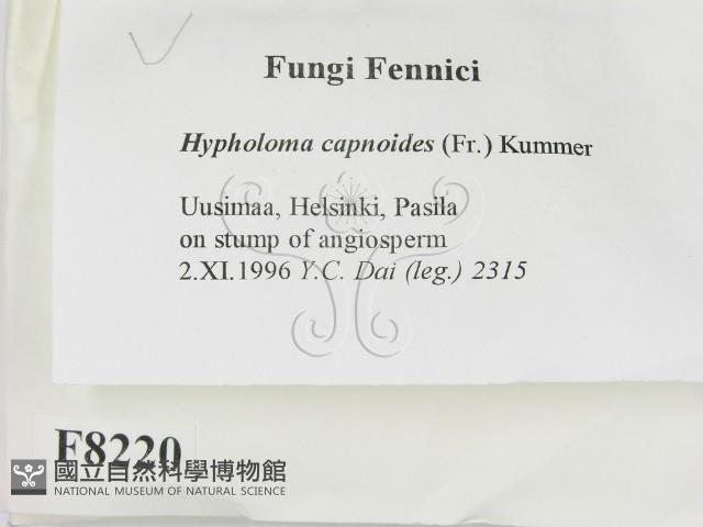 登錄號:F0008220藏品圖，第2張