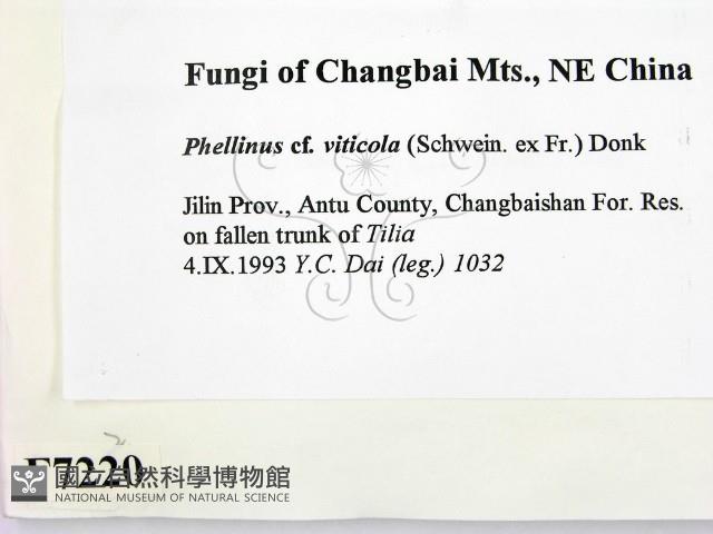 登錄號:F0007220藏品圖，第2張