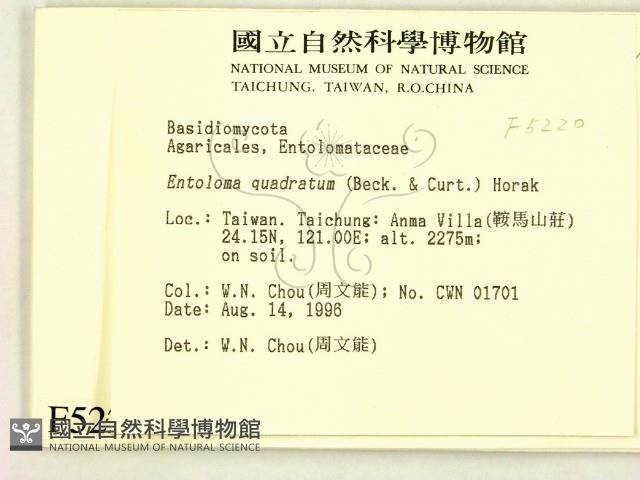 登錄號:F0005220藏品圖，第2張
