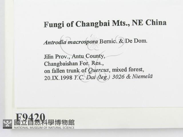 登錄號:F0009420藏品圖，第2張