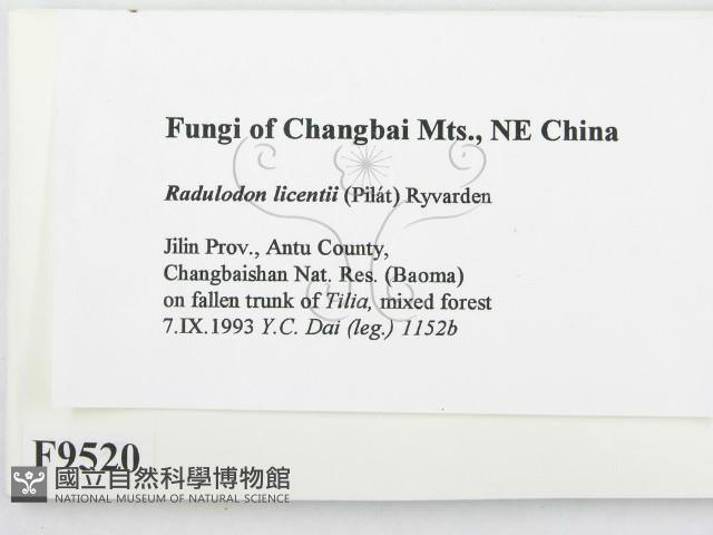 登錄號:F0009520藏品圖，第2張