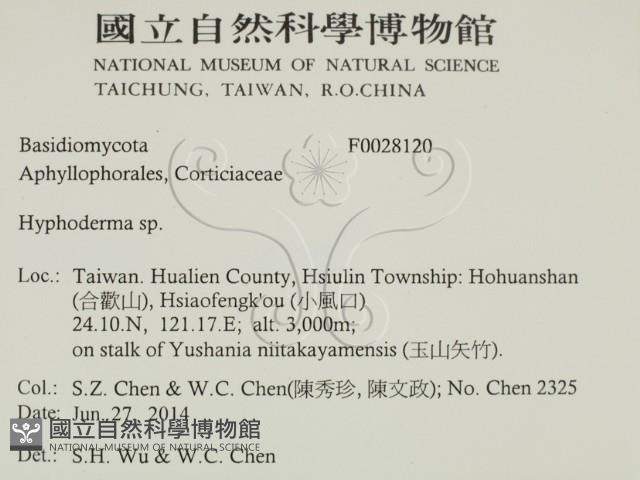 館號:F0028120藏品圖，第2張