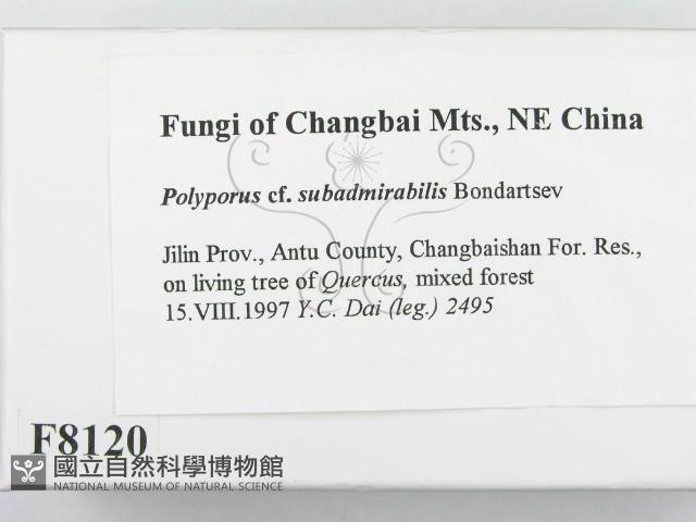 登錄號:F0008120藏品圖，第2張